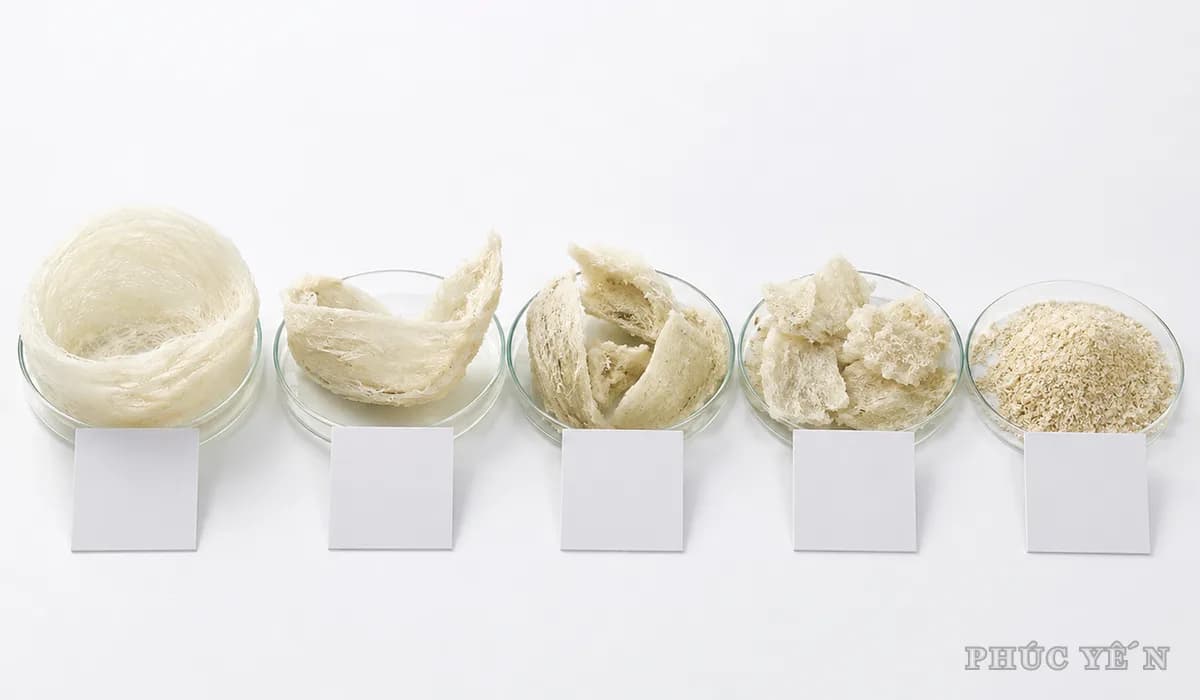 Phúc Yến — ảnh 3