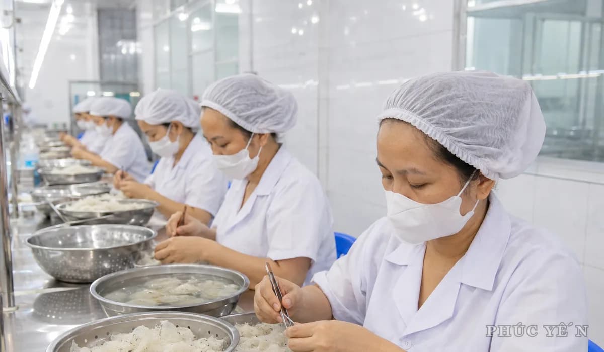 Phúc Yến — ảnh 5